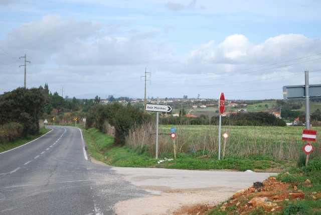 20100120_0181