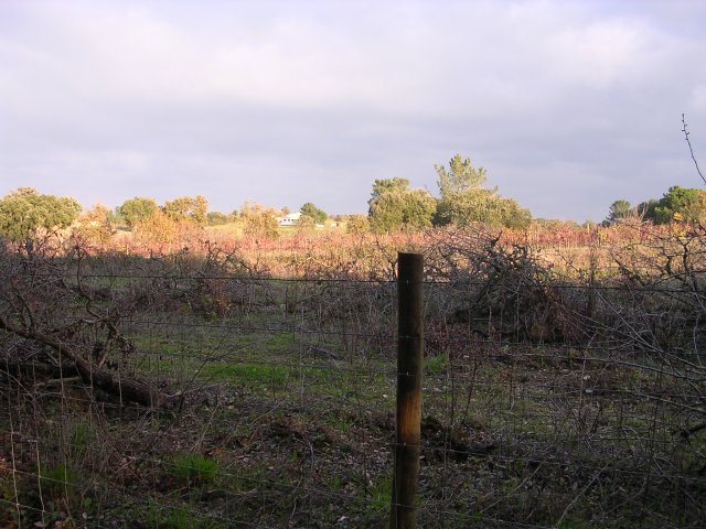 20041204_2332