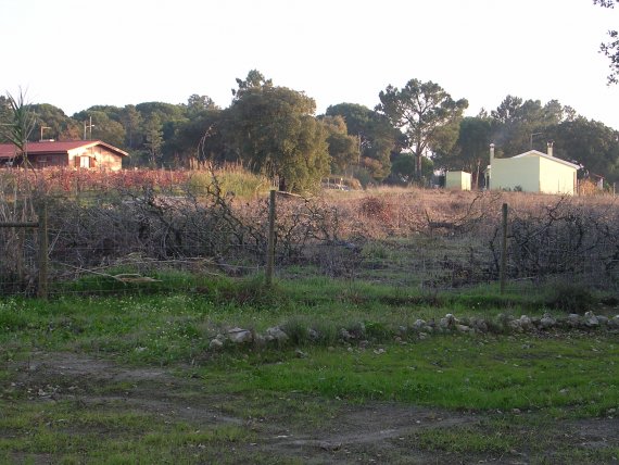 20041208_2381