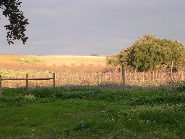 20041204_2343