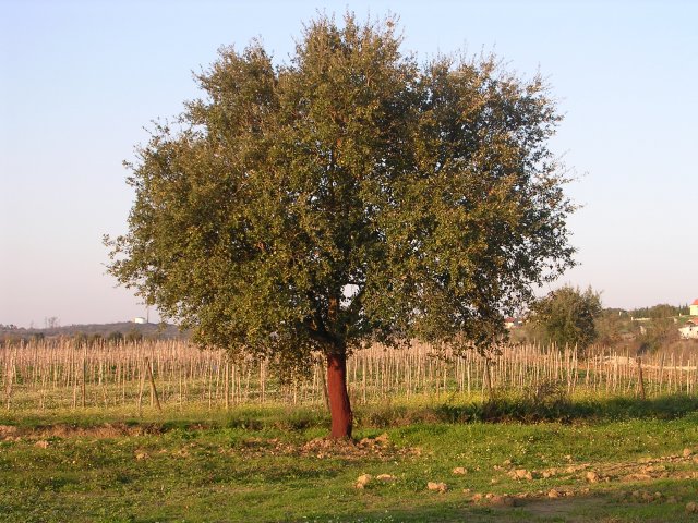 20041208_2379