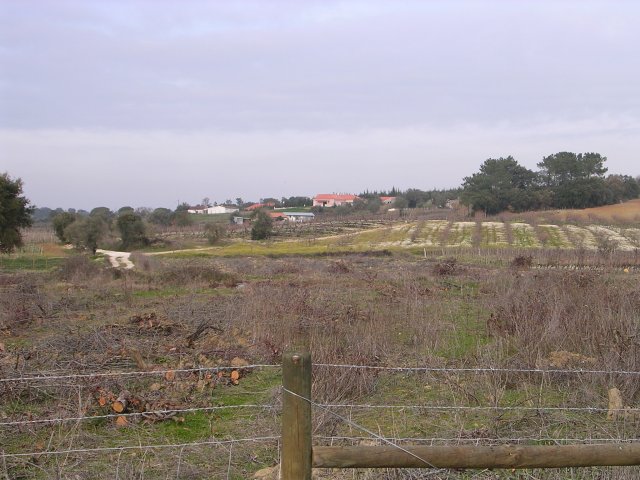 20050110_2457