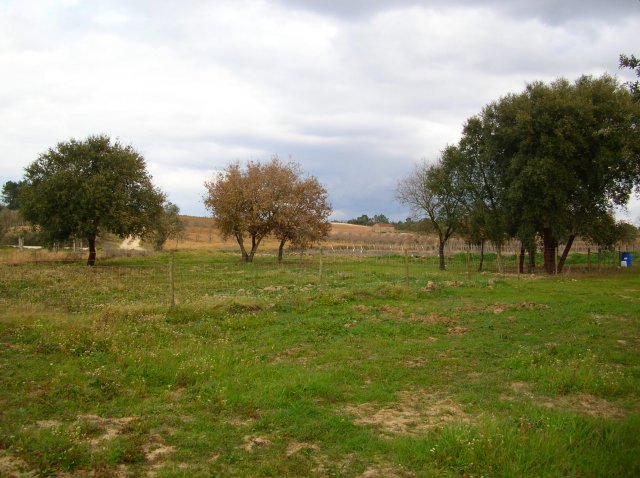 20050226_0205