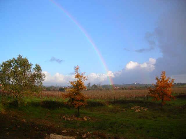 20051227_1444