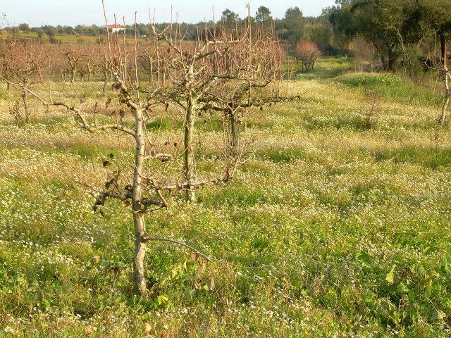 20061229_0041