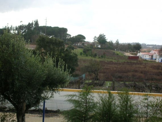 20090205_3963
