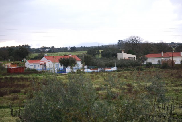 20100223_0206