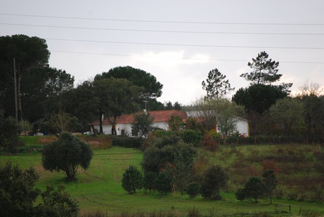20100223_0210