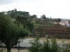 20090205_3963