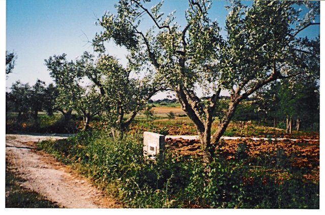 19990610_0012