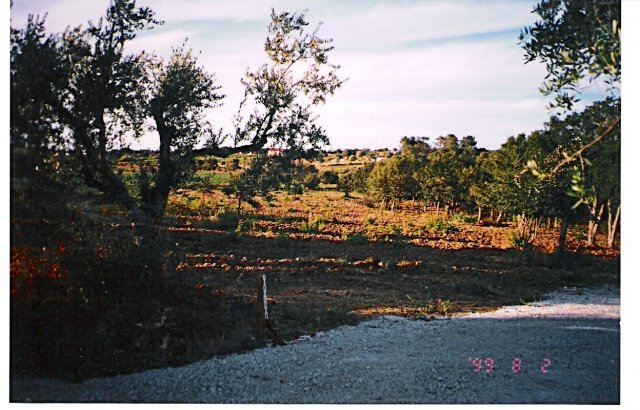 19990802_0009
