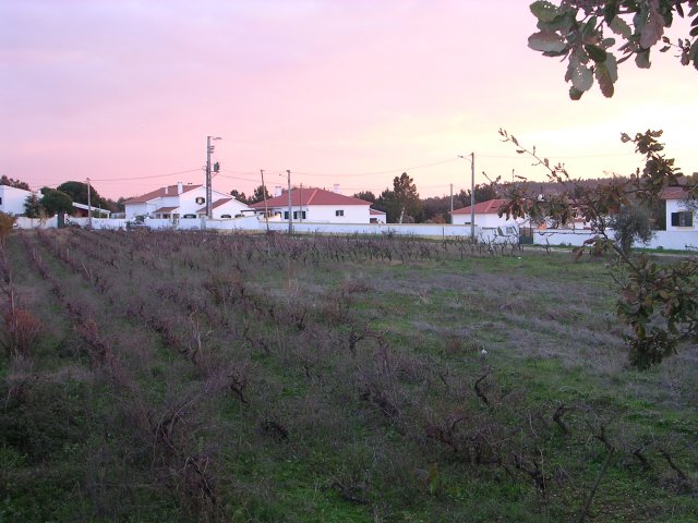 20041204_2361