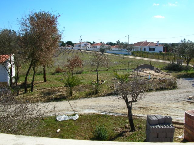 20050305_0250