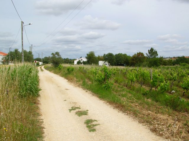 20050520_0580