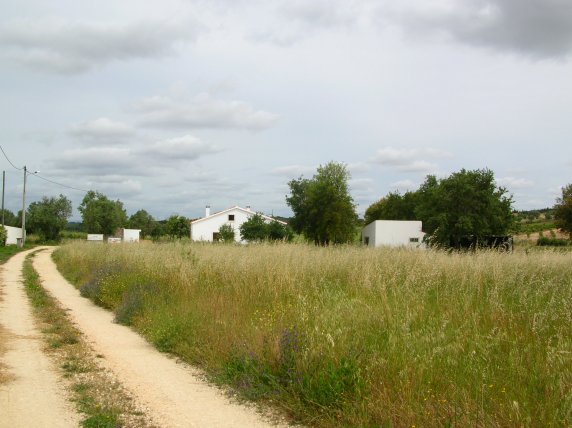 20050520_0581