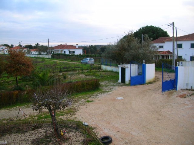 20070101_2313