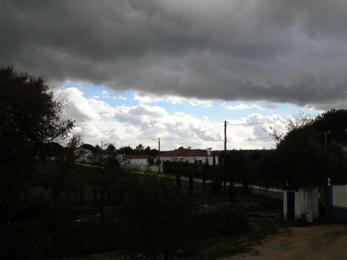 20090205_3961