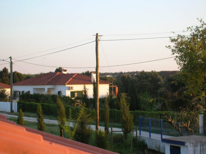 20090331_4089