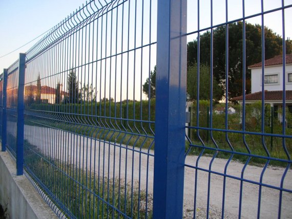 20090331_4093