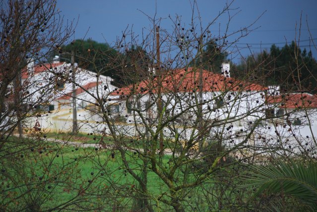 20100223_0201