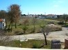 20050305_0250