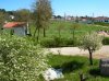 20050409_0383
