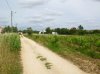 20050520_0580