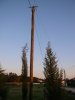20090331_4094