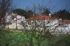 20100223_0201
