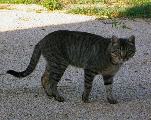 2006-11-12_2243