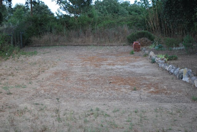 2013-07-27_0678