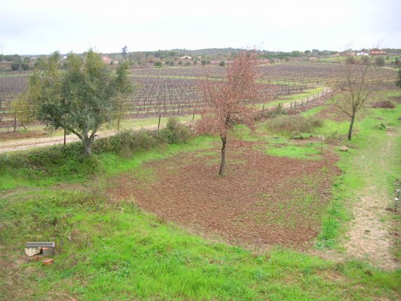 2009-03-04_4035
