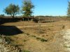 2008-11-19_3719