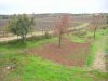 2009-03-04_4035