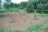 2010-05-14_0368