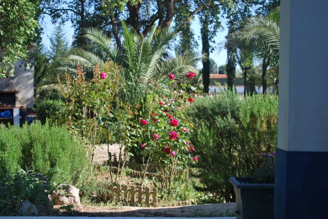 Roseiral_2013-06-01_0882