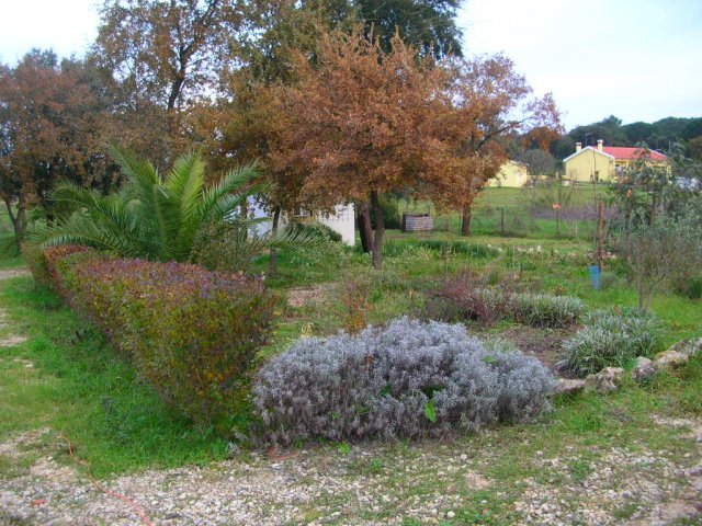 Sul_2007-01-01_2316
