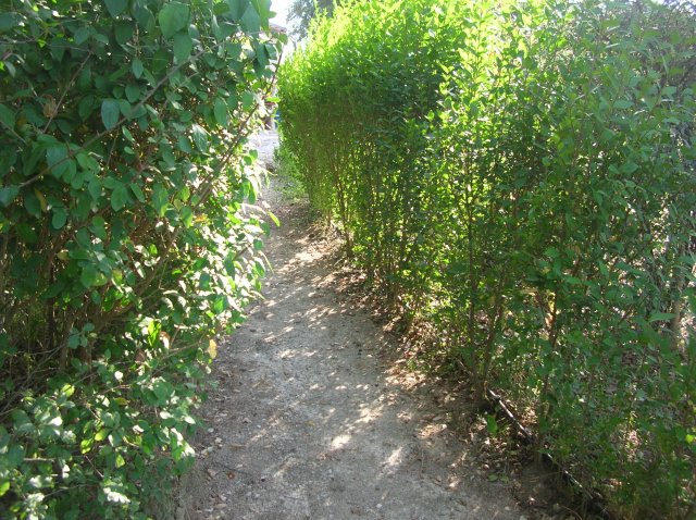 Galeria_2007-10-28_2850