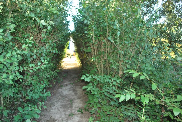 Galeria_2011-07-22_0783