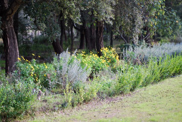 Norte_2009-10-28_0728