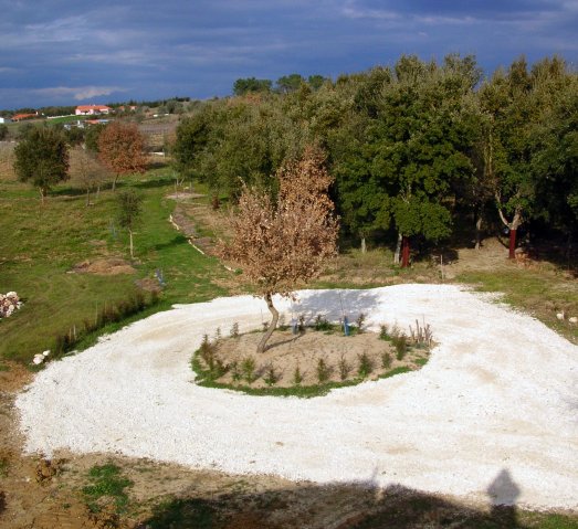 Rotunda_2005-02-26_0222