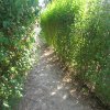 Galeria_2007-10-28_2850