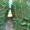 Galeria_2011-07-22_0783