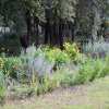 Norte_2009-10-28_0728