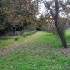Norte_2012-12-23_0337