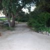 Sul_2009-06-19_0308