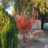 Sul_2017-11-14_3134