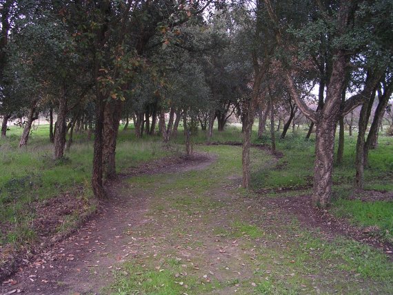 Passeio_2003-12-26_1762